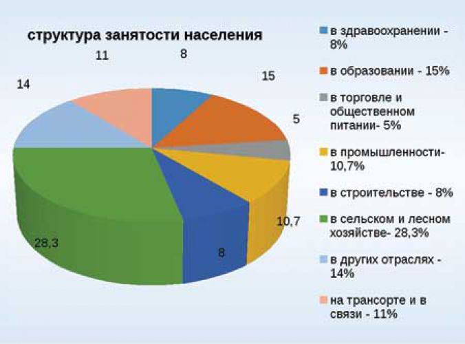 Диаграмма занятости. Отраслевая структура хозяйства Австралии. Структура трудовой занятости. Структура занятости Австралии. Структура занятости населения Казахстана.